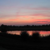 0309F 70 Marschlandschaft